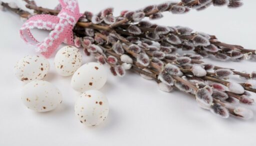 ветки вербы с белыми яйцами