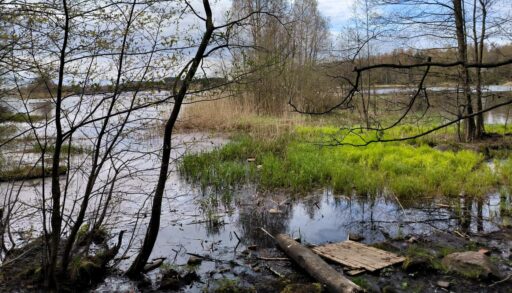 В Тюменской области в озере погибли рыбаки