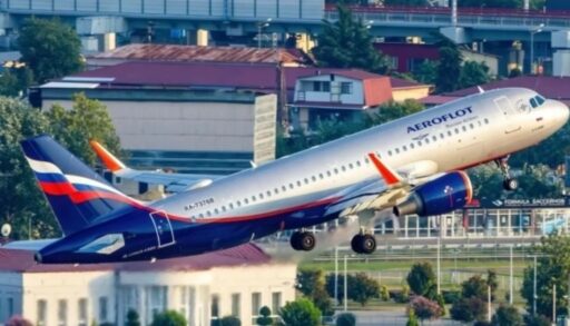 В тюменском аэропорту стая птиц помешала вылететь самолету