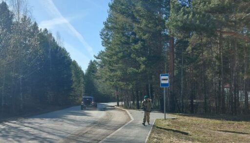 В Тюменской области закроют лесничество из-за бабочки-вредителя