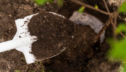 Почва лежит на лопатке