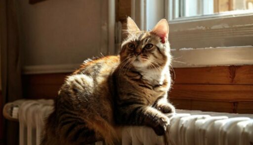 В Тюмени общий долг за отопление превысил 1 млрд рублей