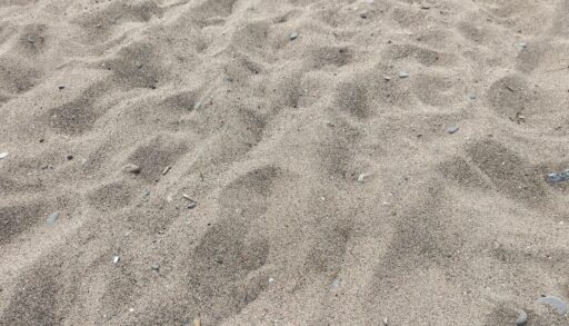 В Тюмени не могут засыпать песком пляж на озере Круглое