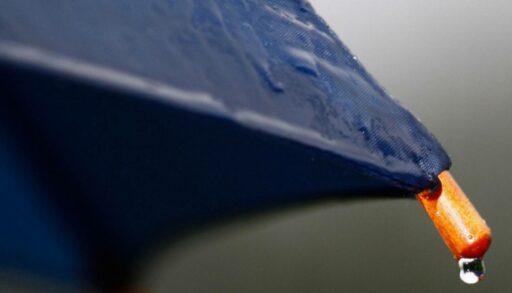 В пятницу в Тюмени синоптики обещают дождь