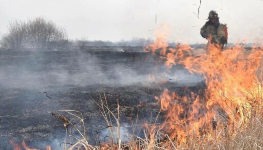В майские праздники за тюменскими дачниками следят БПЛА