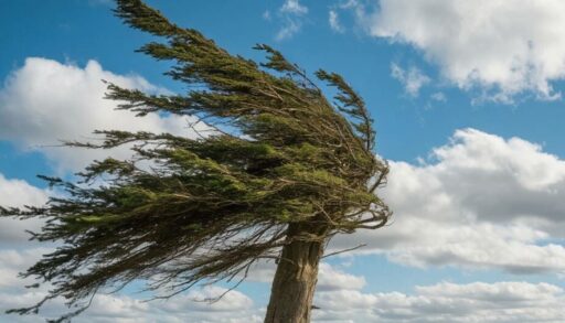 Во вторник в Тюмени потеплеет до +24 градусов