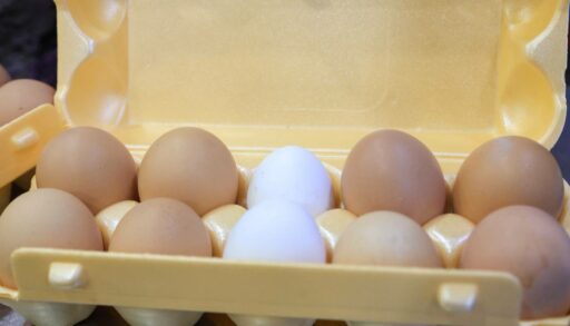 В Тюменской области производство яйца почти в 3 раза превысило потребность населения