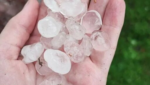 В тюменском селе выпал град размером с куриное яйцо