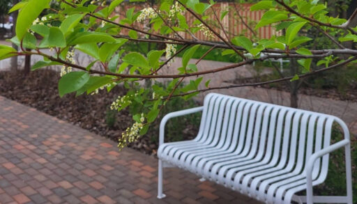 Следующая неделя в Тюмени будет прохладной и дождливой