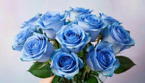 синие розы