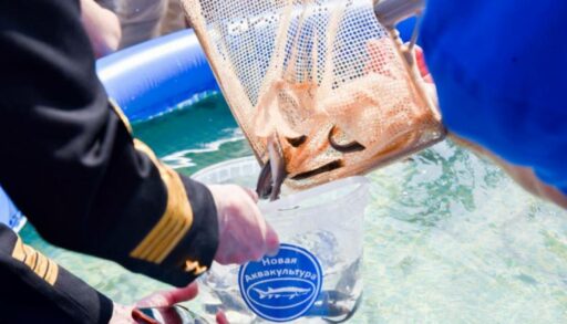 В Тюмени в Туру выпустили тысячу мальков стерляди