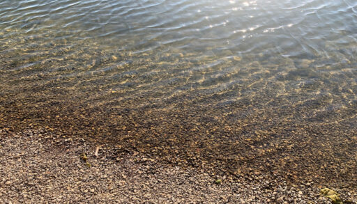 Молодой юноша утонул в водоеме под Тюменью
