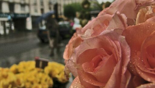 День города в Тюмени пройдет под стук дождя