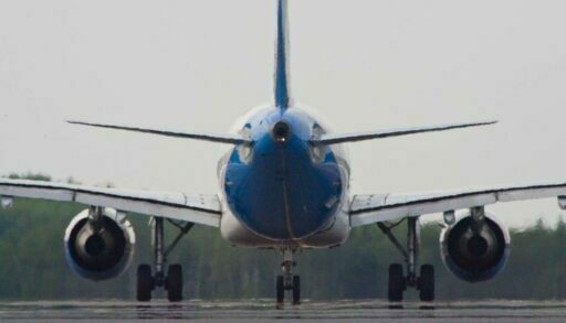 В Тюмени самолет не смог приземлиться из-за лисы на взлетной полосе