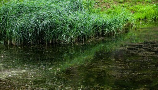 Тюменские поисковики вытащили из болот заблудившихся пенсионера и его дочь