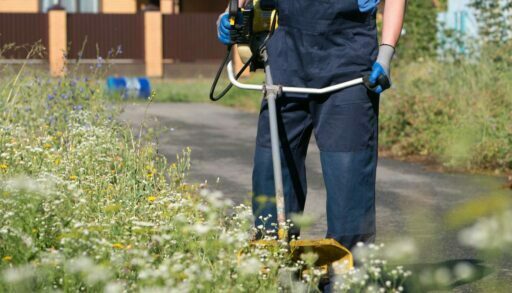 В Тюмени два подростка чуть не ослепли после работы с триммером на даче