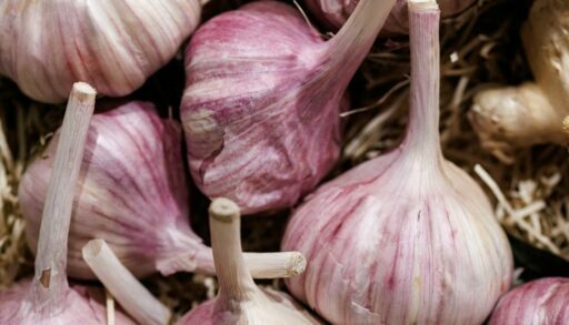 Тюменцам раскрыли секреты правильного сбора чеснока
