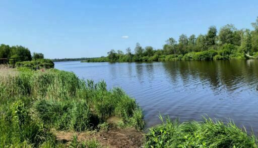 В реке Иртыш обнаружено тело мужчины
