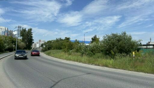 Депутат гордумы Николай Ремезков помог тюменцам в сносе аварийных деревьев