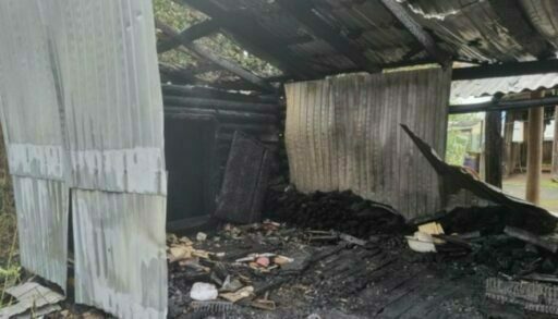 В тюменском селе на пожаре погиб человек