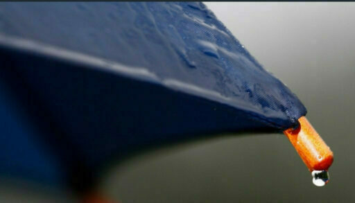 Тюменцев ждет дождливая неделя