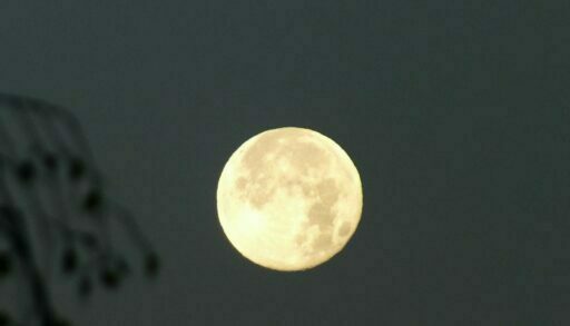 Стрельцам помешает упрямство, к Водолеям заглянет Фортуна, а Ракам лучше не ходить на шопинг