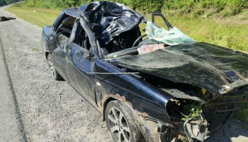 На тюменской трассе погиб водитель, врезавшись в лося