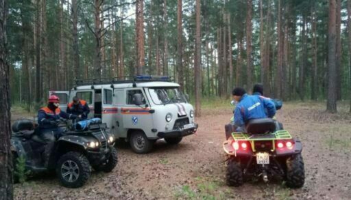 Спасатели нашли в тюменском лесу заблудившихся северян