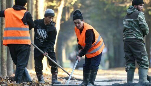 С начала года в Тюменскую область приехали на работу более 16 тысяч мигрантов