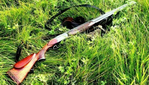 В Тюменской области утвердили лимит добычи охотресурсов