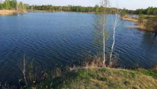 На берегу тюменской реки обнаружен мертвый мужчина