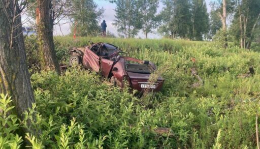 На тюменской трассе въехал в дерево и опрокинулся автомобиль "Лифан"