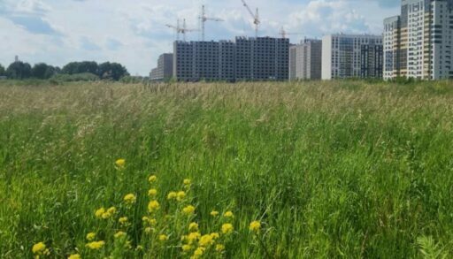 В Тюмени к 2028 году построят новую школу и детсад