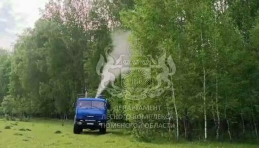 Два района Тюменской области атаковали опасные вредители