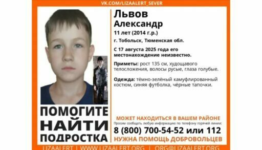 Пропавшего в Тобольске мальчика видели в компании с бомжами