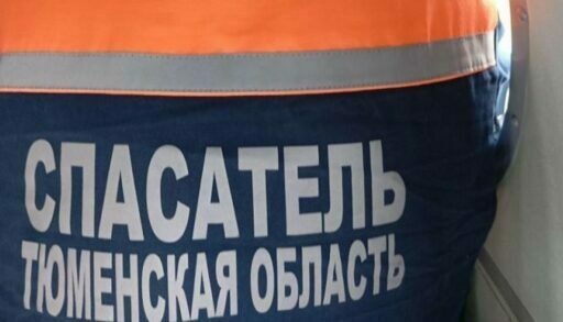 Спасатели с альпинистским снаряжением вытащили тюменку из погреба