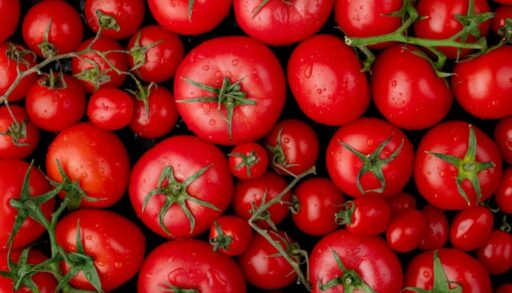 много помидоров