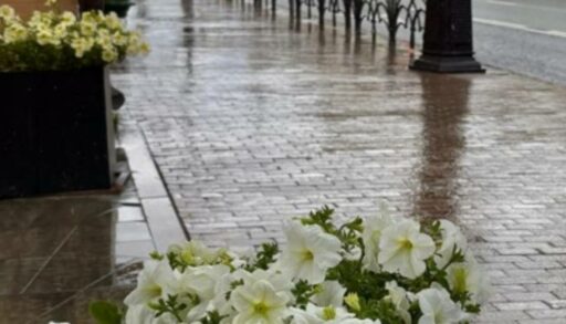 В среду в Тюмени похолодает и начнутся дожди