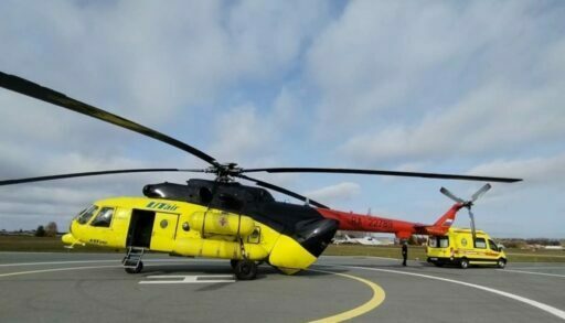 В Тюменской области чудом спасли лесничего, которого искусала стая шершней