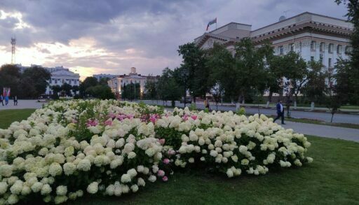 Во вторник в Тюмени будет тепло, но пасмурно