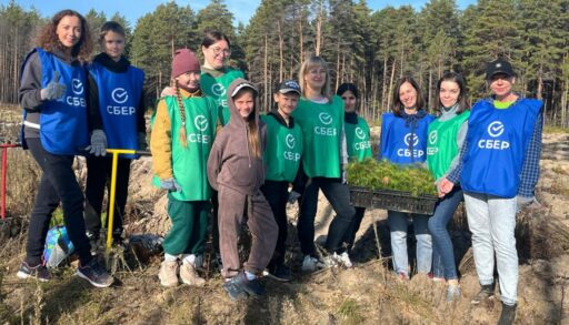 Волонтеры Сбера помогают восстанавливать леса в Тюменской области