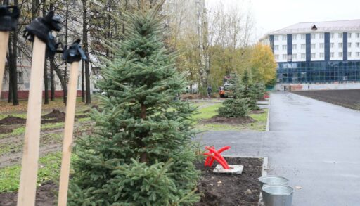 В Тюмени на Утином пруду высадили более 50 деревьев