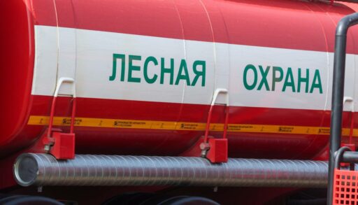 Вновь горим? В тюменских лесах - средняя степень пожарной опасности