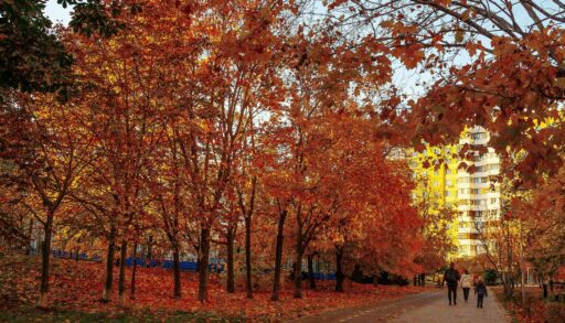 Стало известно, какая погода в Тюмени будет в сентябре
