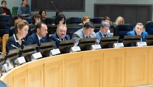 Депутаты гордумы оценили благоустройство областного центра