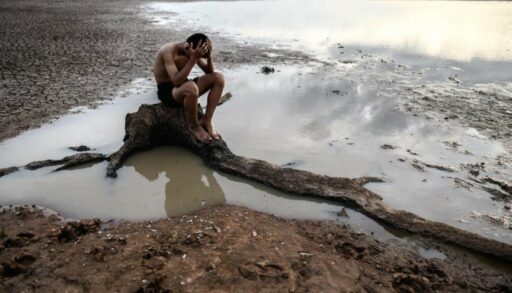 человек сидит на дереве среди грязи