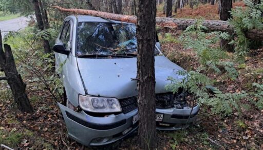 Под Тюменью водитель иномарки врезался в дерево и погиб