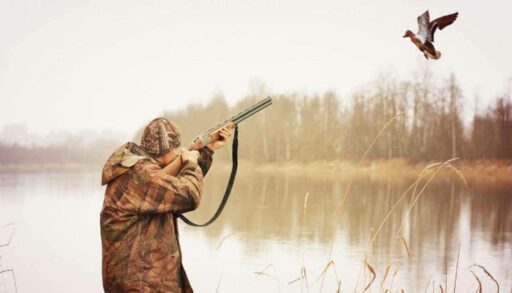 С начала года ущерб от тюменских браконьеров составил более 7,6 млн рублей