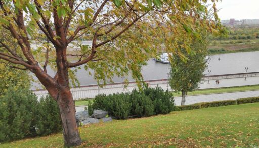 К концу недели в Тюмень придет вторая волна "бабьего лета"