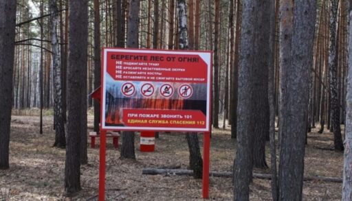 Два лесных пожара действуют в тюменских лесах